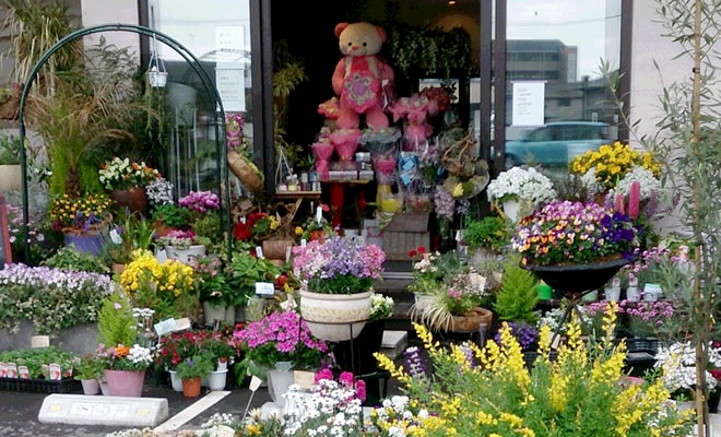 岡山市のおしゃれ花屋10選 岡山駅のギフトショップやアレンジ教室がある店も Shiori